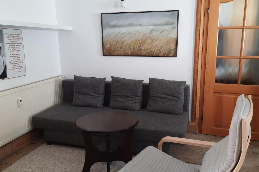 Apartament, Ogrodek, Przy Rynku! Zielona Góra Exterior foto
